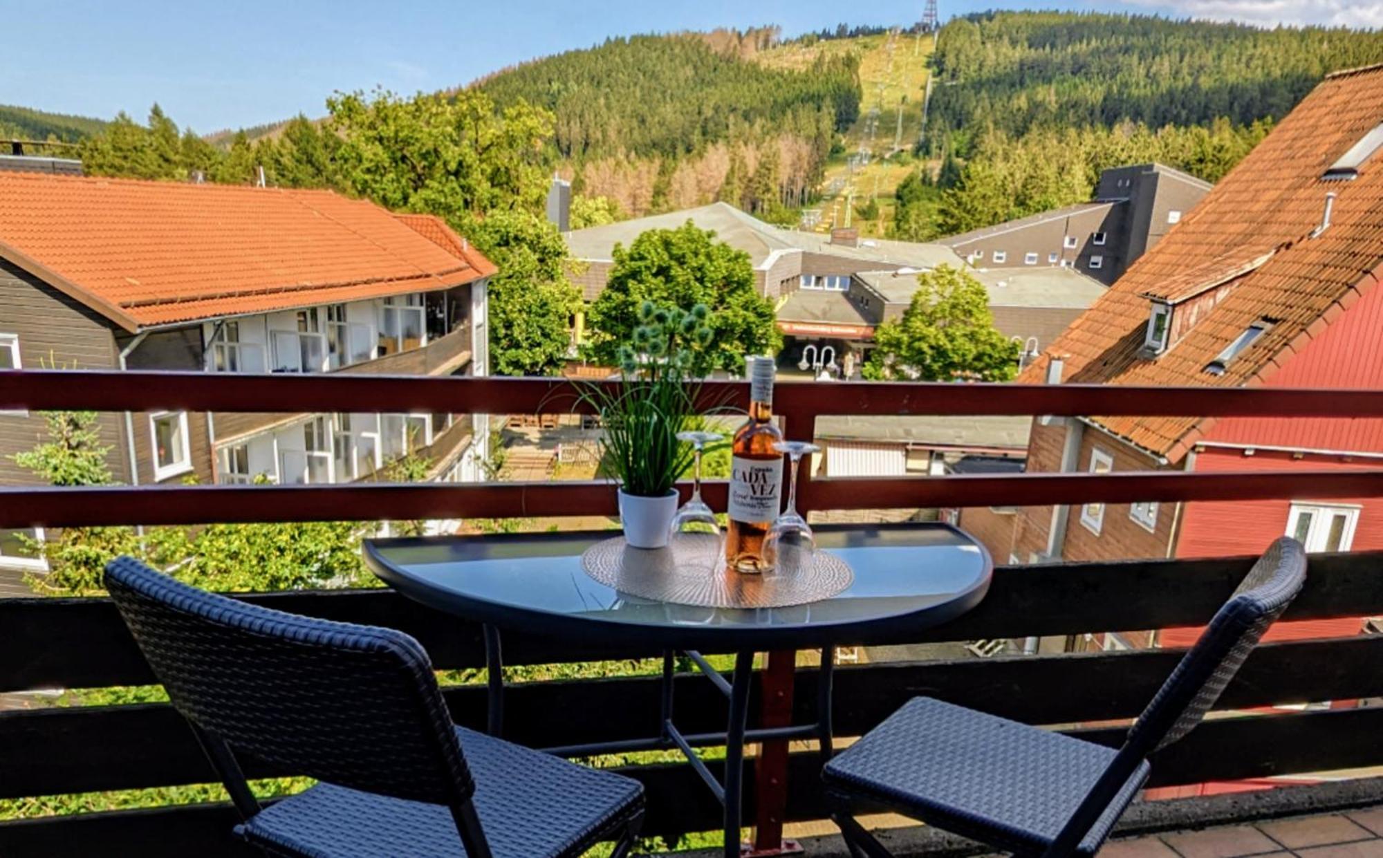 Chill Out Apartment Bergblick Goslar Extérieur photo